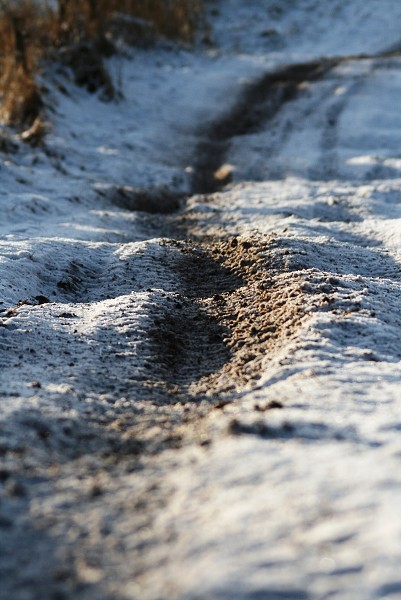 SNOW CROSS 29.12.2009